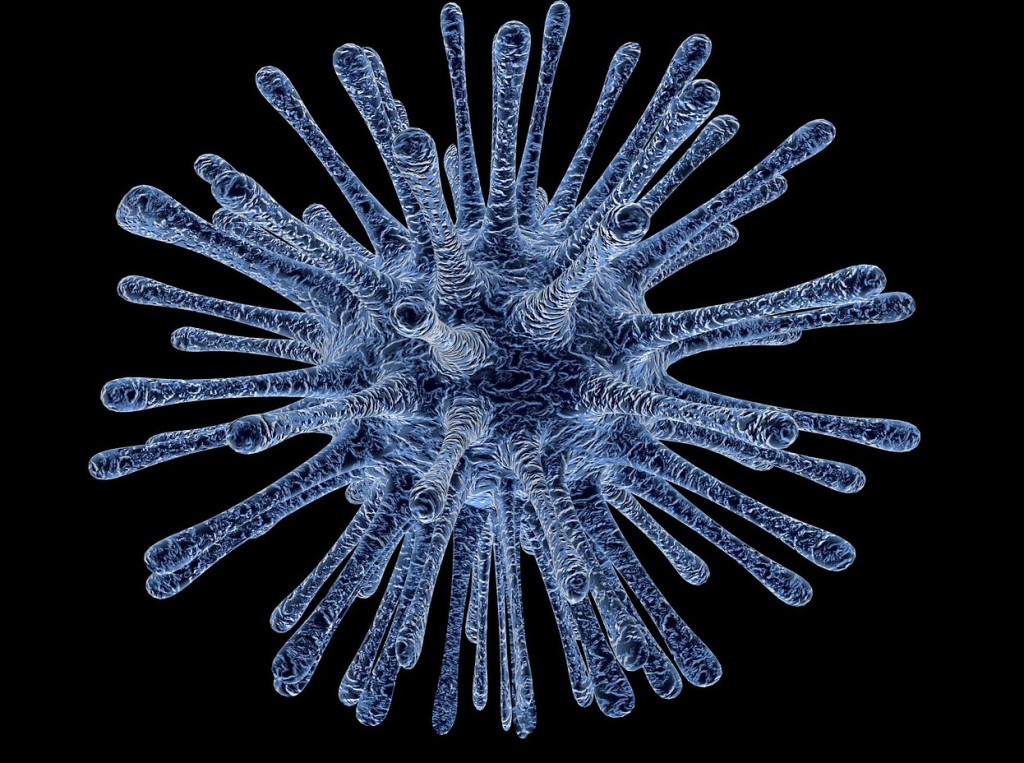 Wirus ebv może zaatakować niezależnie od wieku.